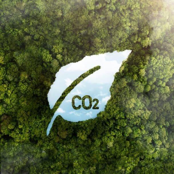 Industrie minérale durable forêts WYN Minerals